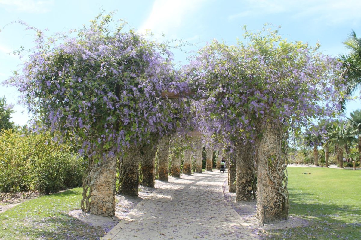 Naples Botanical Garden