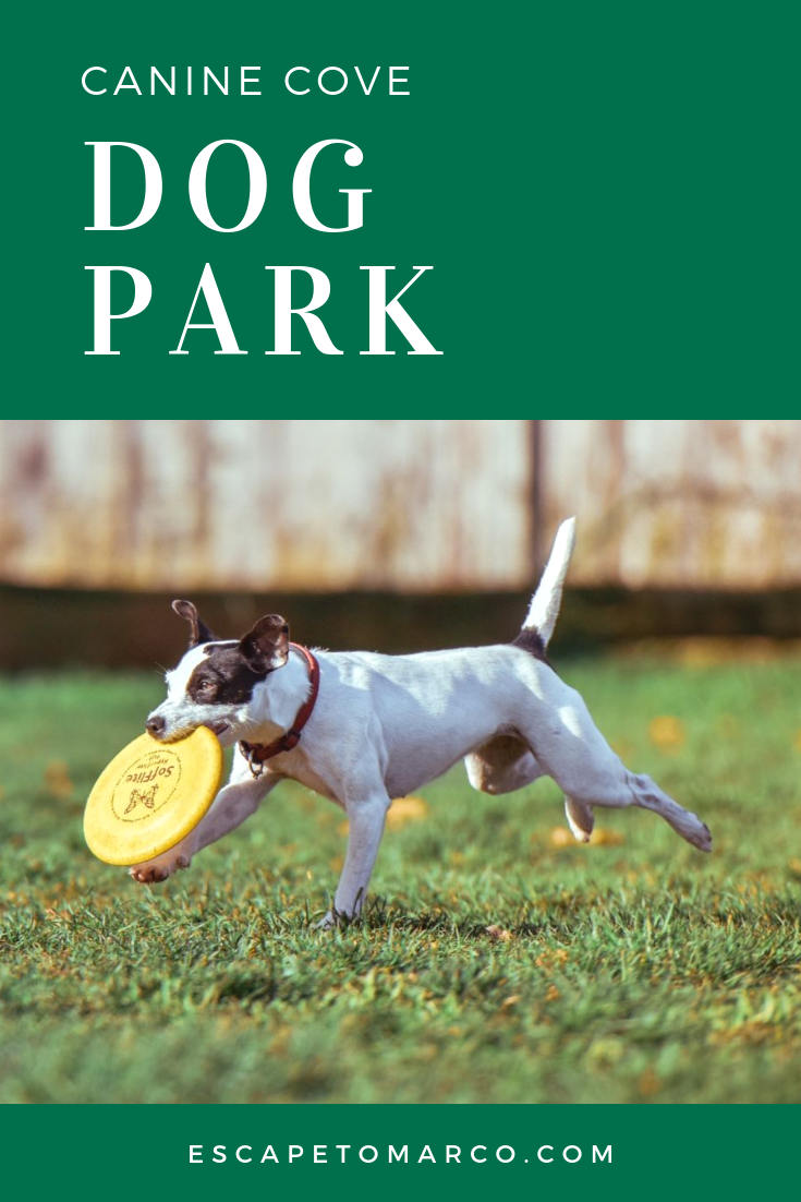 where is canine cove dog park?