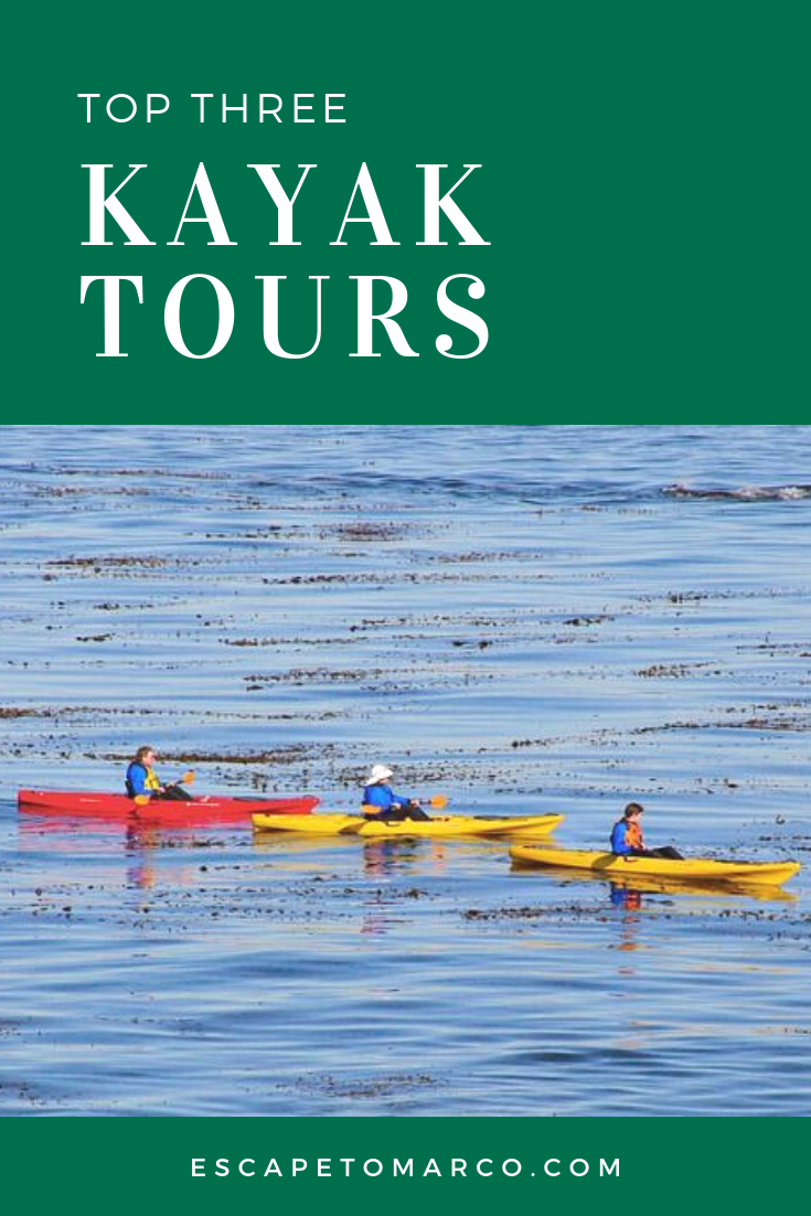 top 3 kayak tour companies in marco island