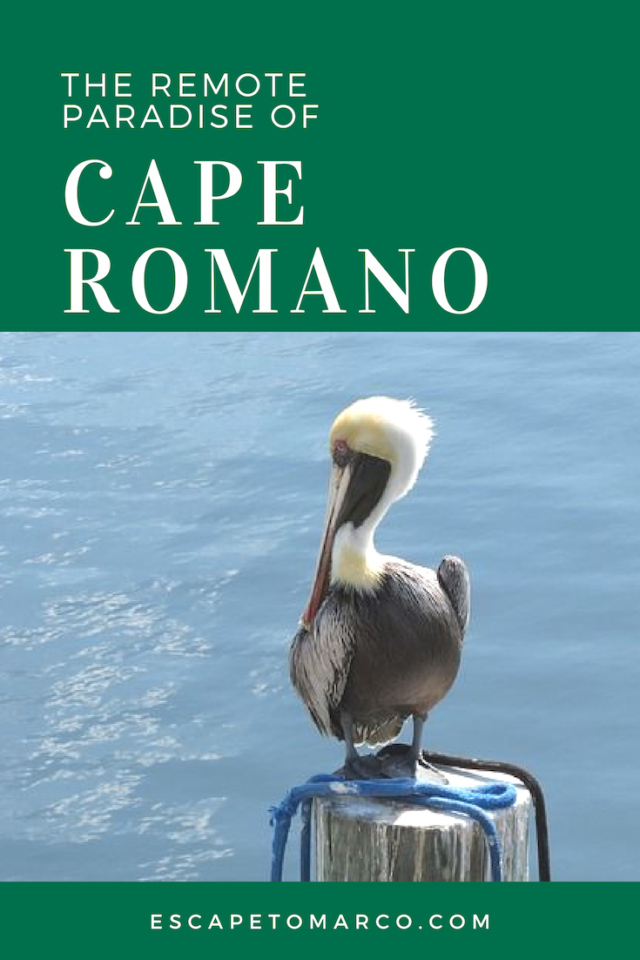 Visitors to Cape Romano can depart from Caxambas Park and Marina and take the hour-and-a-half journey to the tip.