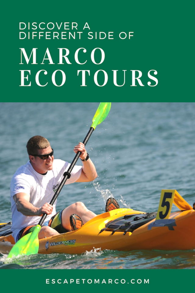  Marco Island is home to a number of companies that offer boat tours of the surrounding waters where you can get a close-up view of the marine life, birds and dolphins. You simply sit back and relax as your tour guide takes you through scenic waters
