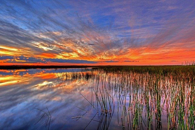 sunset over the water and grass