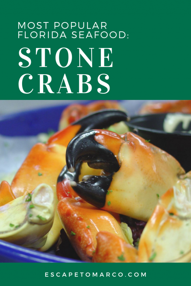 Find out all about stone crabs of southwest Florida. Learn the wonderful secrets of stone crab and why they are almost universally the most sought-after and beloved crab in the world.